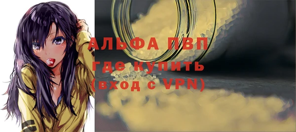 гашик Вязьма