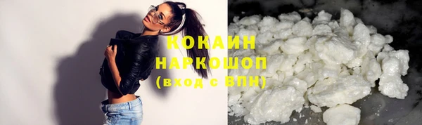 стаф Володарск