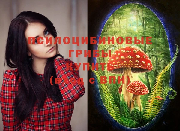 мет Вяземский
