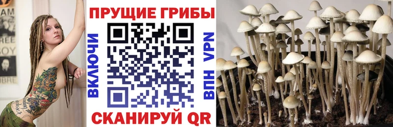 Галлюциногенные грибы мицелий  купить   blacksprut ссылка  Лысьва 